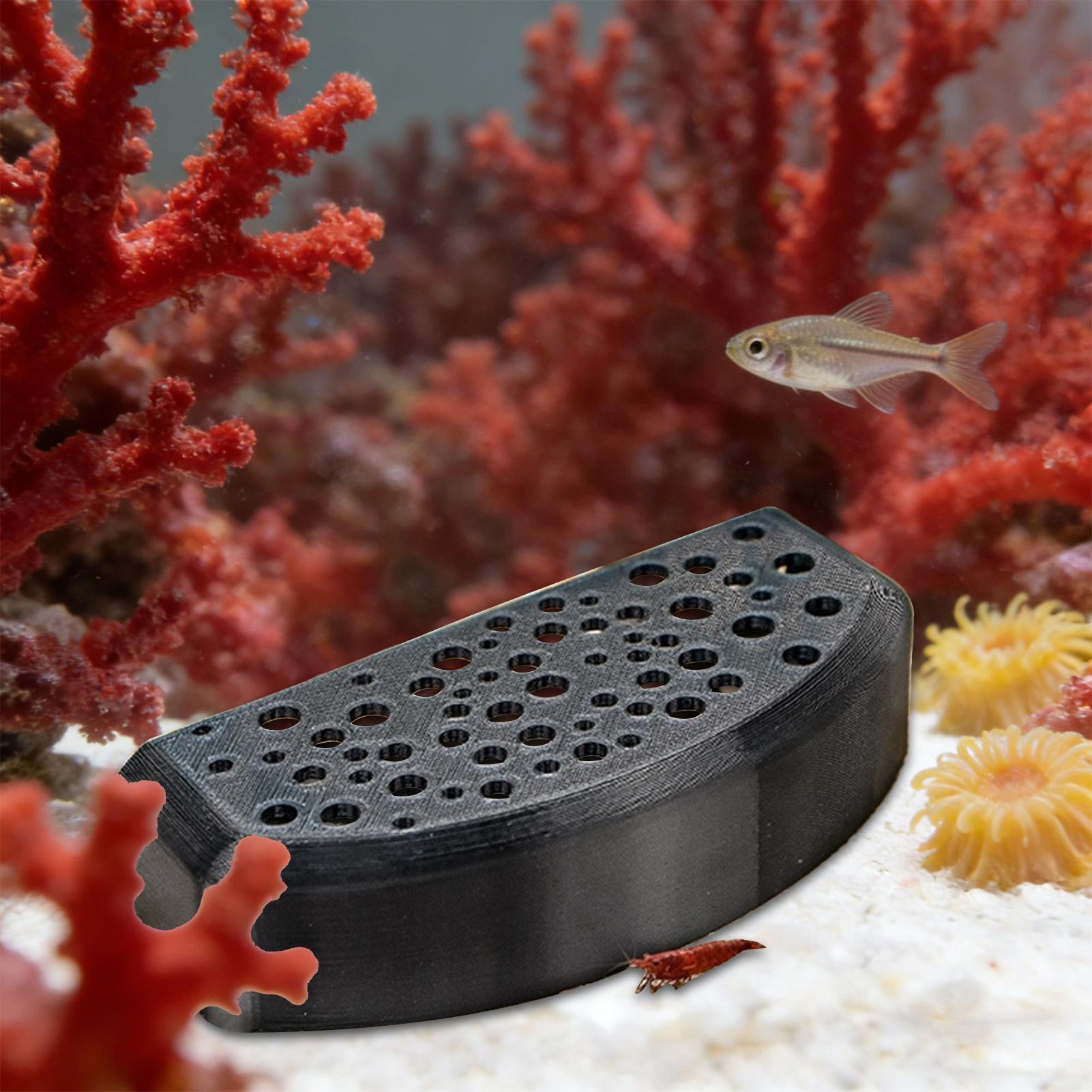 Aquatic Zone - Adorno de Descanso para Mascotas Acuáticas,